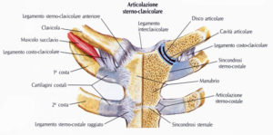dureri migratorii ale articulațiilor mici dureri articulare citramone
