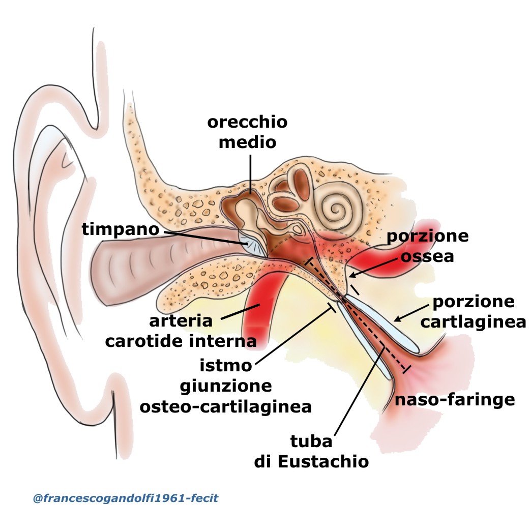 disfunzione delle tube di Eustachio KINESIOPATIA
